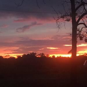 Meet your Posher, Dylan